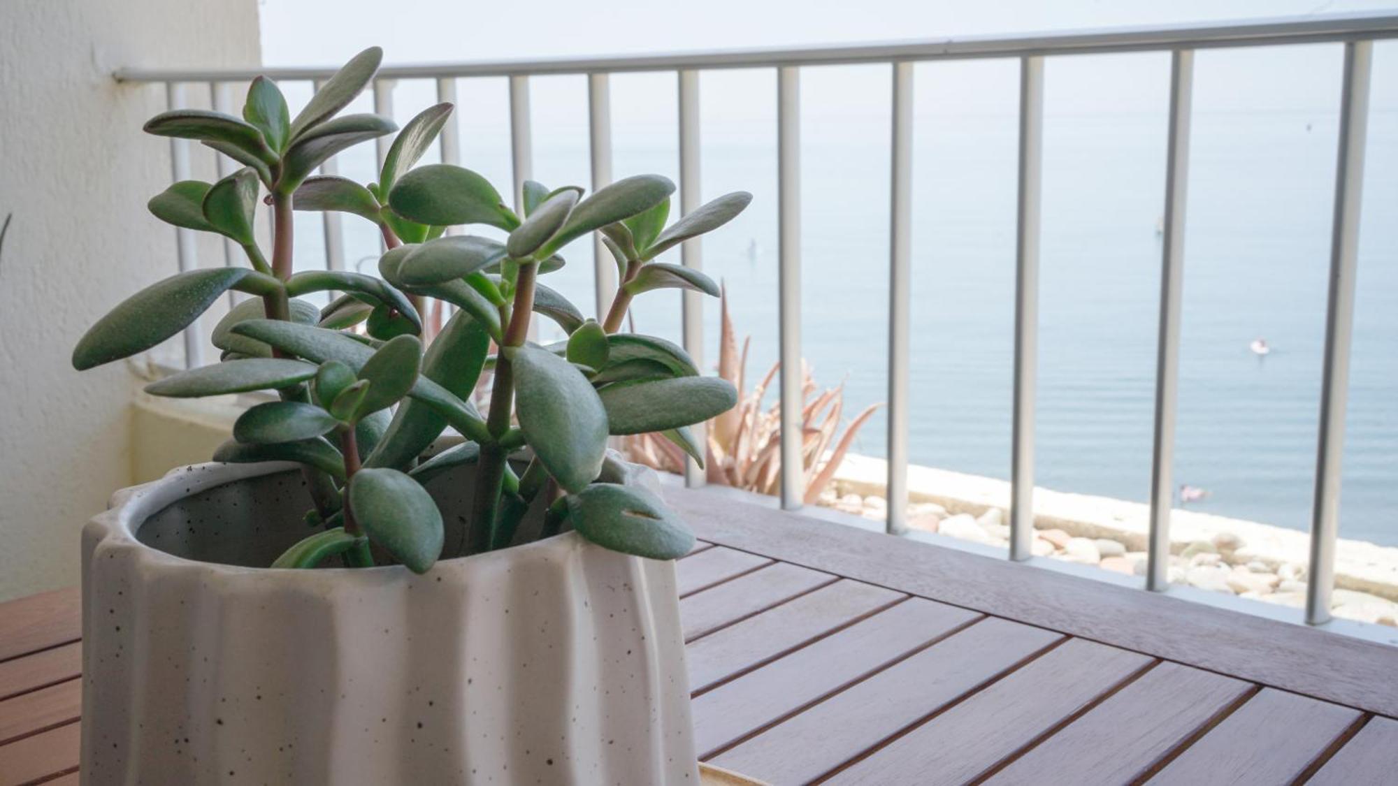 Apartamento Brisa Del Mar Almunecar Exterior photo